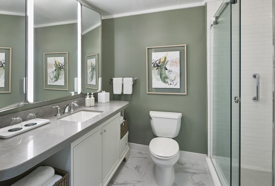 Guest bathroom with walk-in shower