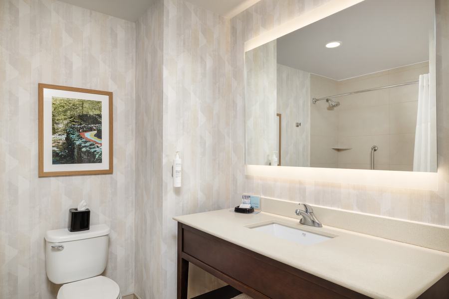 Guest bathroom
