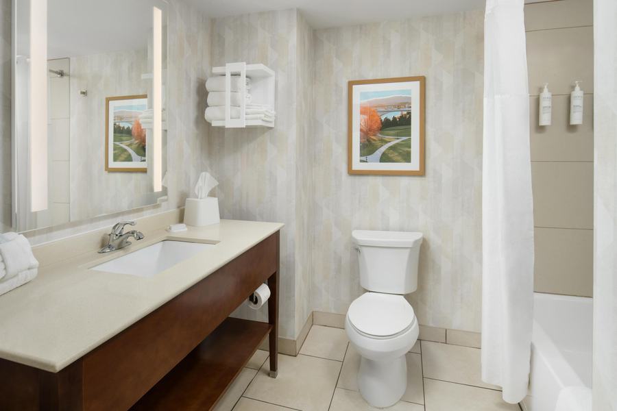 Guest bathroom